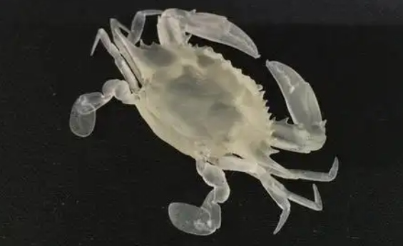 小批量生产选深圳3D打印服务能省多少成本