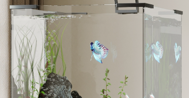 ScreenShot_2025-12-05_162412_023