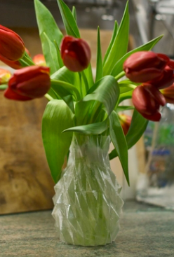 ScreenShot_2025-12-31_095147_535 ScreenShot_2025-12-31_095147_535