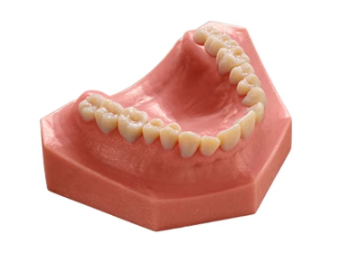 3d打印树脂牙齿模型如何助力牙科诊所节省成本？