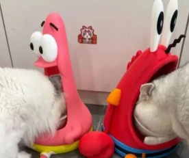 废旧塑料3d打印如何实现垃圾变潮玩？