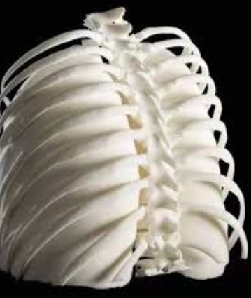 高分子3D打印材料特性：强度翻倍的四个核心参数